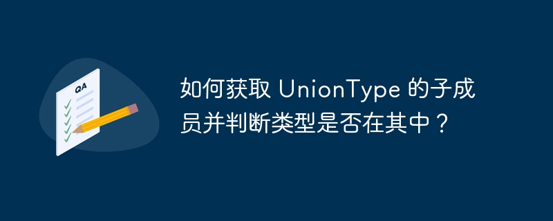 如何获取 UnionType 的子成员并判断类型是否在其中？