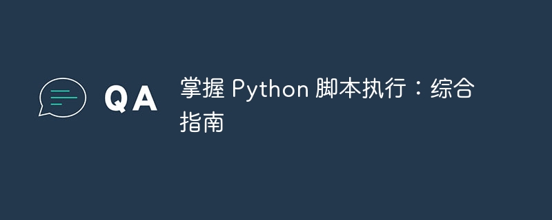 掌握 Python 脚本执行：综合指南