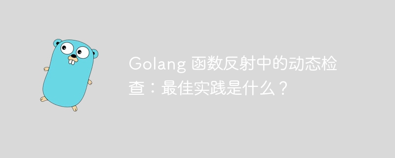 Golang 函数反射中的动态检查：最佳实践是什么？