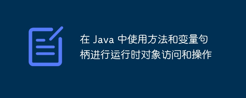 在 Java 中使用方法和变量句柄进行运行时对象访问和操作