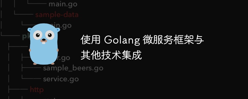 使用 Golang 微服务框架与其他技术集成