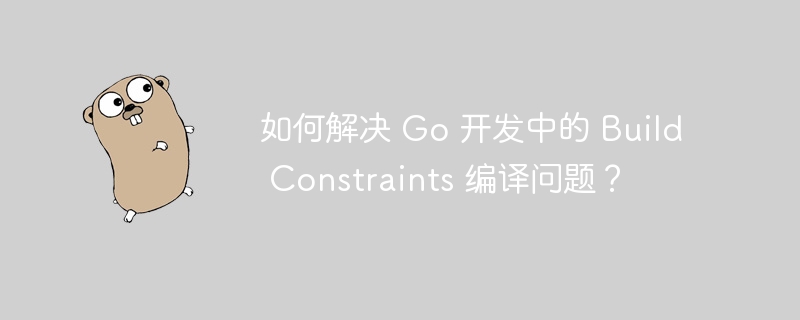 如何解决 Go 开发中的 Build Constraints 编译问题？