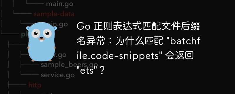 Go 正则表达式匹配文件后缀名异常：为什么匹配 \