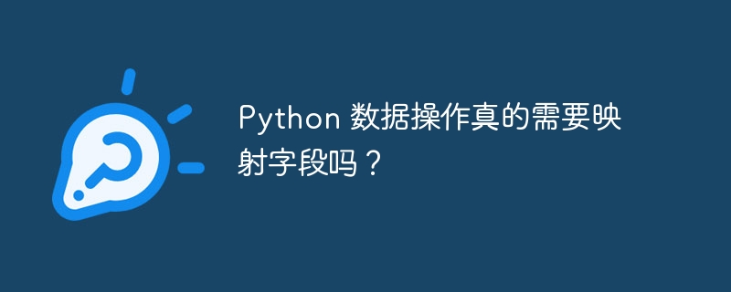 Python 数据操作真的需要映射字段吗？