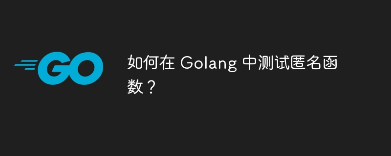 如何在 Golang 中测试匿名函数？