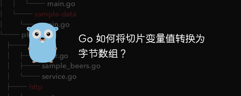 Go 如何将切片变量值转换为字节数组？ 
