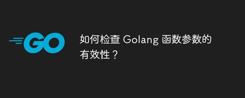 如何检查 Golang 函数参数的有效性？