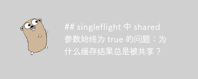 ## singleflight 中 shared 参数始终为 true 的问题：为什么缓存结果总是被共享？