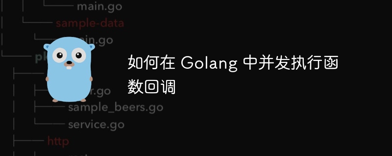 如何在 Golang 中并发执行函数回调