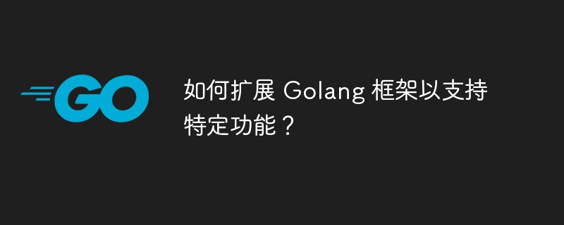 如何扩展 Golang 框架以支持特定功能？