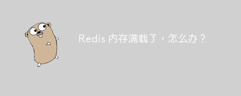 Redis 内存满载了，怎么办？