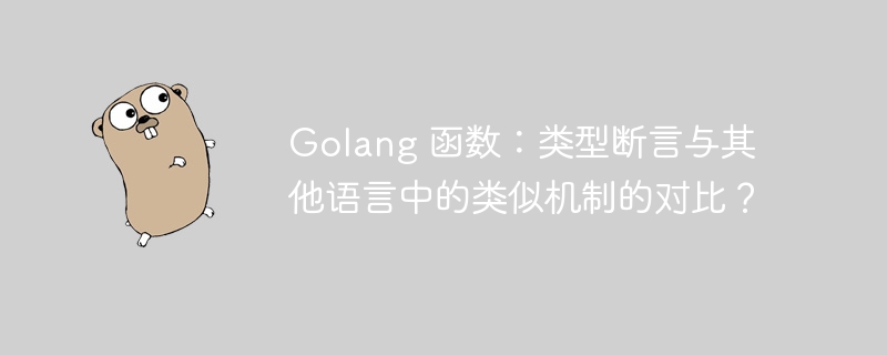 Golang 函数：类型断言与其他语言中的类似机制的对比？