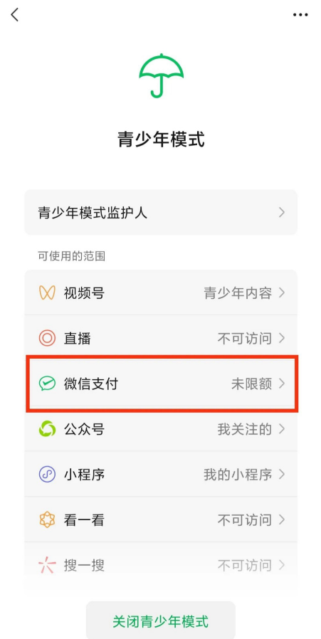 微信青少年模式怎么设置限制付款 微信青少年模式限制付款的操作方法