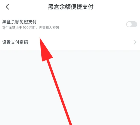 小黑盒怎么设置支付密码