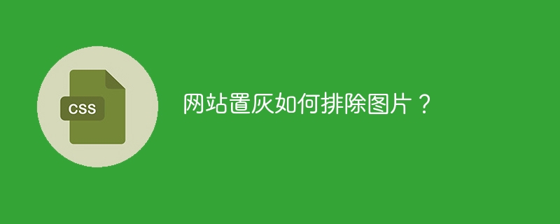 网站置灰如何排除图片？