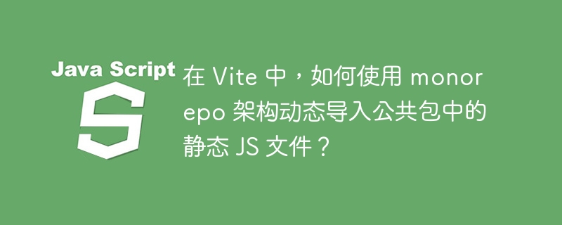 在 Vite 中，如何使用 monorepo 架构动态导入公共包中的静态 JS 文件？