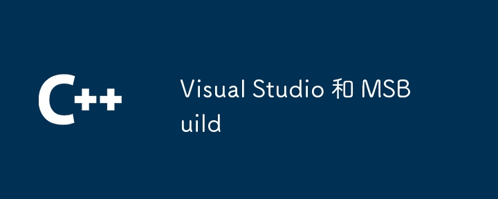 Visual Studio 和 MSBuild