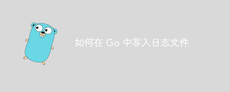 如何在 Go 中写入日志文件