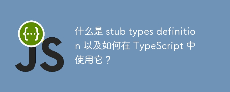 什么是 stub types definition 以及如何在 TypeScript 中使用它？