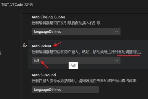 Vscode怎么设置键入时自动调整缩进_Vscode设置键入时自动调整缩进方法