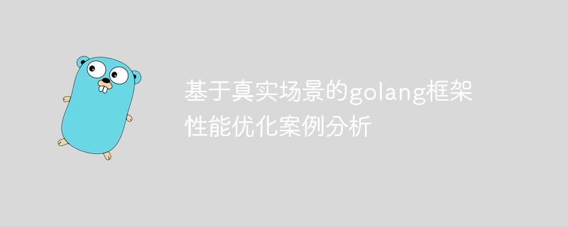 基于真实场景的golang框架性能优化案例分析