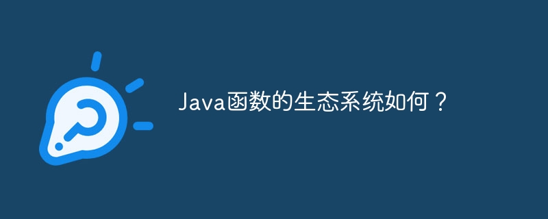 Java函数的生态系统如何？