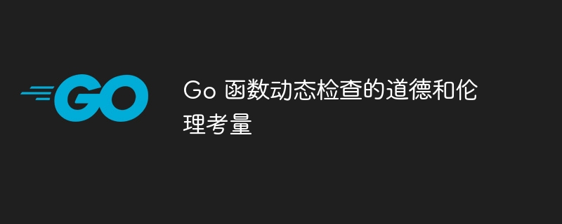 Go 函数动态检查的道德和伦理考量