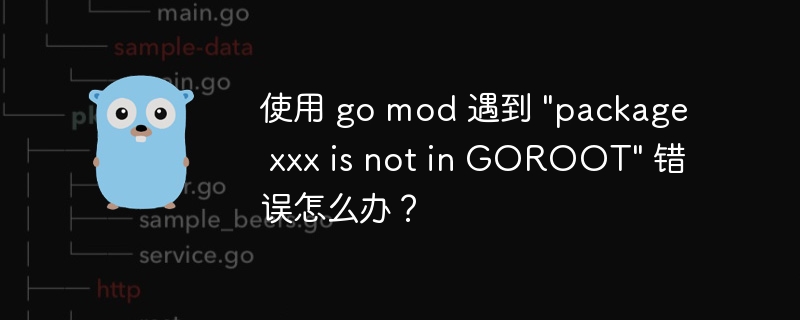 使用 go mod 遇到 