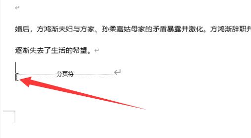 Word怎么删除分页符后的空白页 Word删除分页符后空白页操作方法