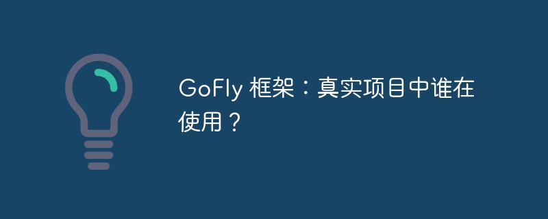 GoFly 框架：真实项目中谁在使用？