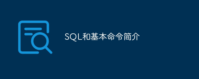 SQL和基本命令简介