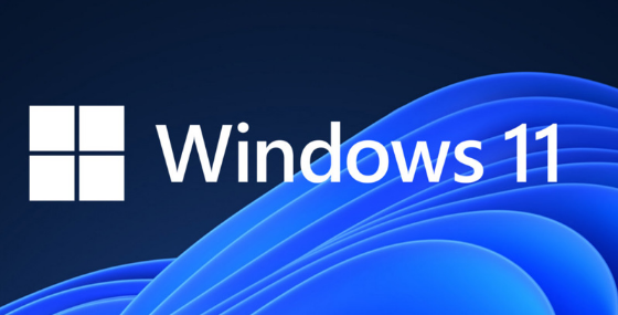 Win11如何打开Direct3D加速 Win11开启3D加速方法