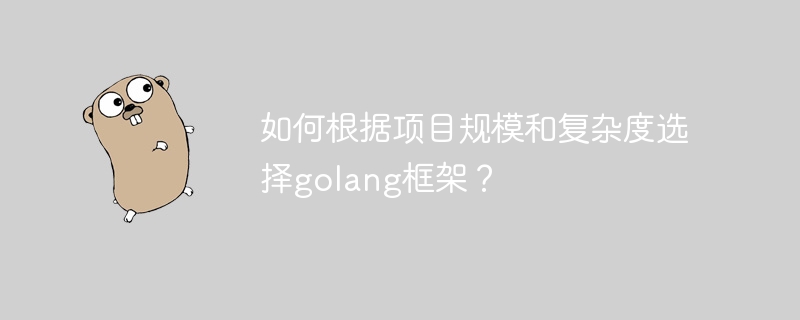 如何根据项目规模和复杂度选择golang框架？