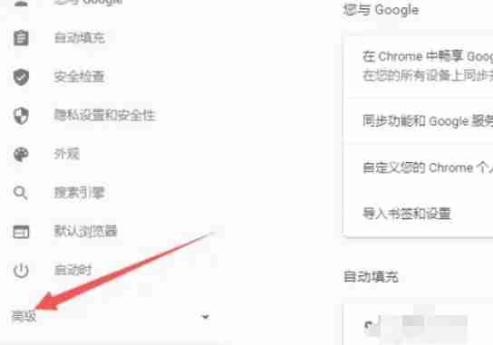 Google浏览器怎么设置中文_Google浏览器设置中文的方法