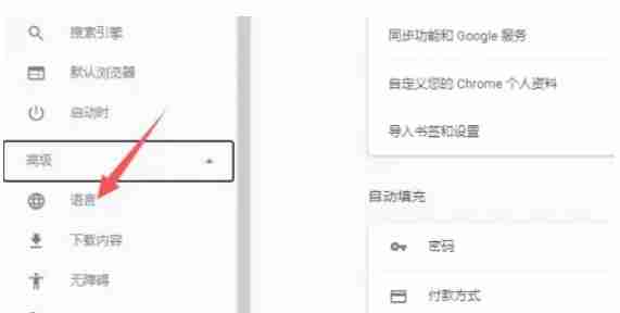 Google浏览器怎么设置中文_Google浏览器设置中文的方法