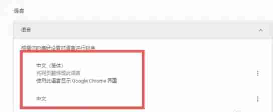 Google浏览器怎么设置中文_Google浏览器设置中文的方法