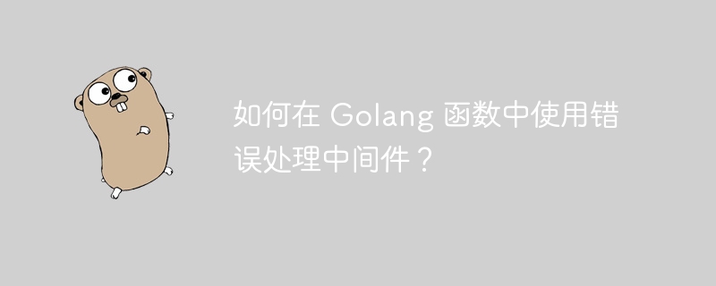 如何在 Golang 函数中使用错误处理中间件？