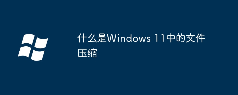 什么是Windows 11中的文件压缩