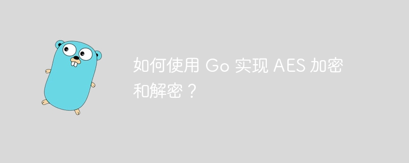 如何使用 Go 实现 AES 加密和解密？