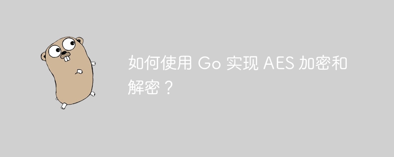 如何使用 Go 实现 AES 加密和解密？