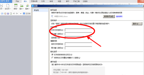 wps文档怎么加密