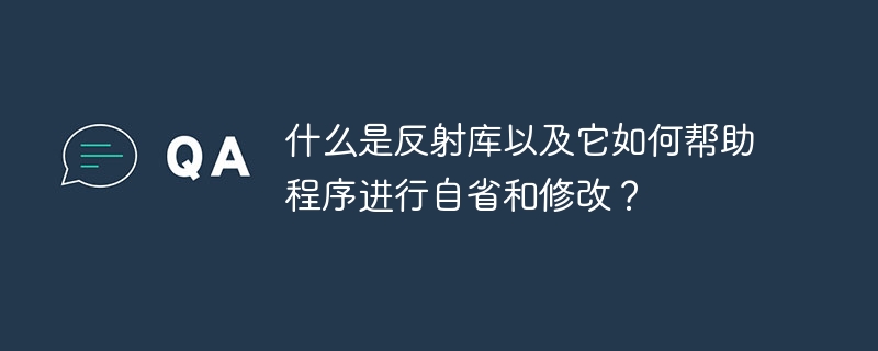 什么是反射库以及它如何帮助程序进行自省和修改？