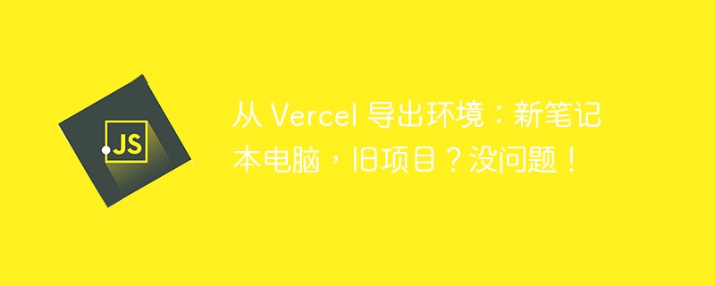 从 Vercel 导出环境：新笔记本电脑，旧项目？没问题！