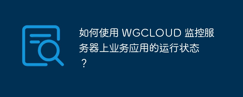 如何使用 WGCLOUD 监控服务器上业务应用的运行状态？