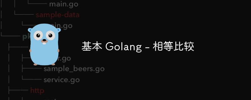 基本 Golang - 相等比较