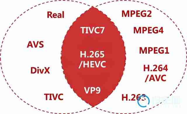 hevc和h.265的区别