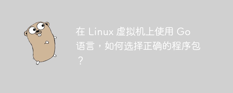 在 Linux 虚拟机上使用 Go 语言，如何选择正确的程序包？