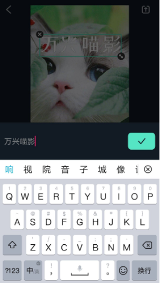 万兴喵影怎么添加字幕-万兴喵影添加字幕操作方法