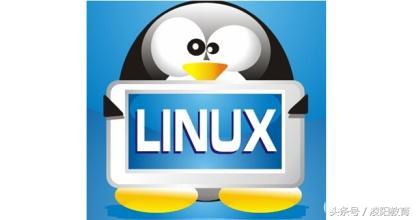 Linux 操作系统：免费、自由传播且性能稳定的多用户网络系统