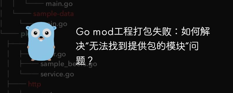 Go mod工程打包失败：如何解决“无法找到提供包的模块”问题？